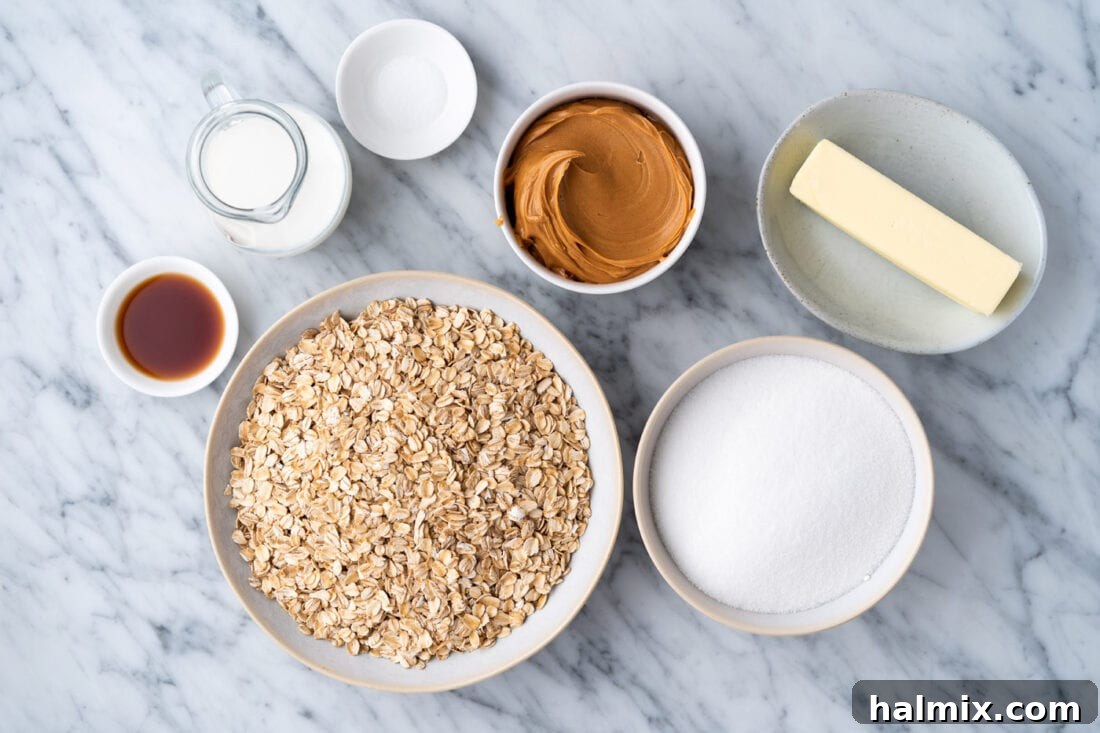 Ingredients for No Bake Peanut Butter Cookies
