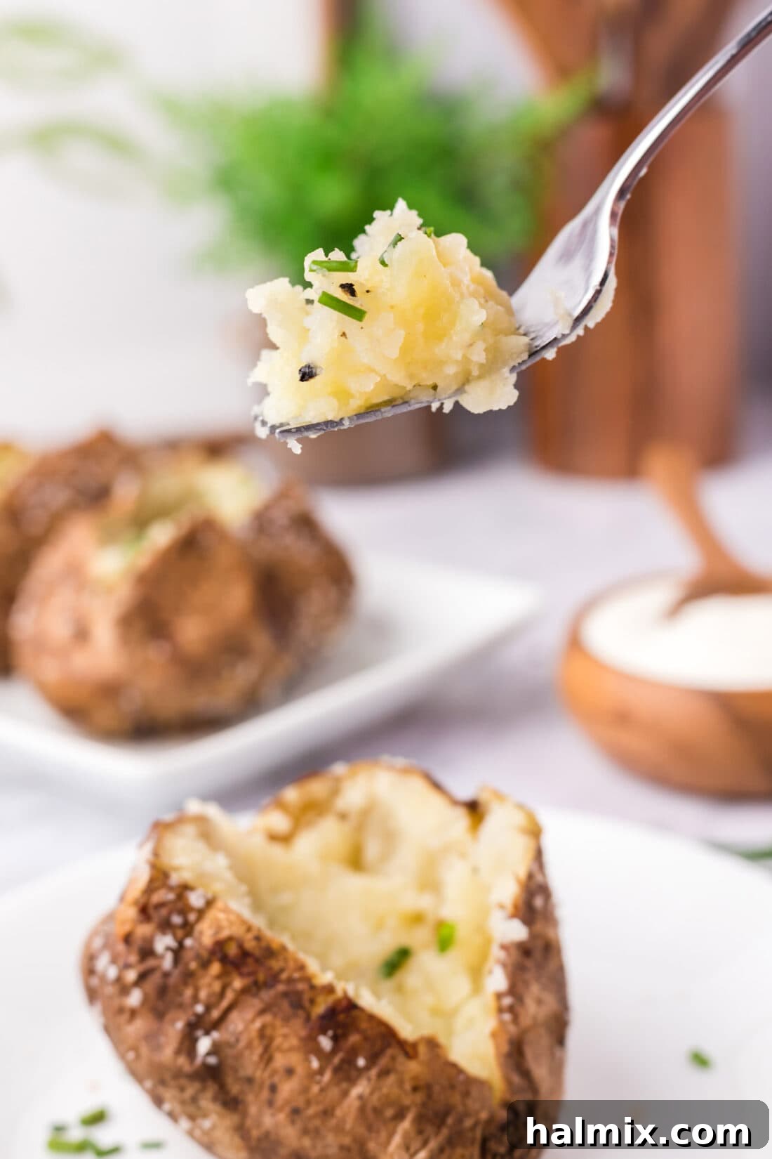 Piece of Baked Potato on a fork held above a spilt open Baked Potato