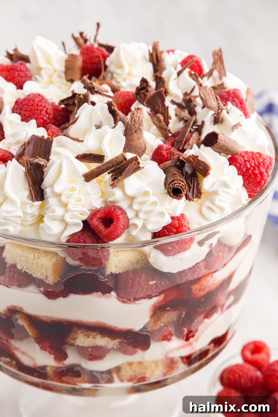 Close up photo of a Raspberry Trifle