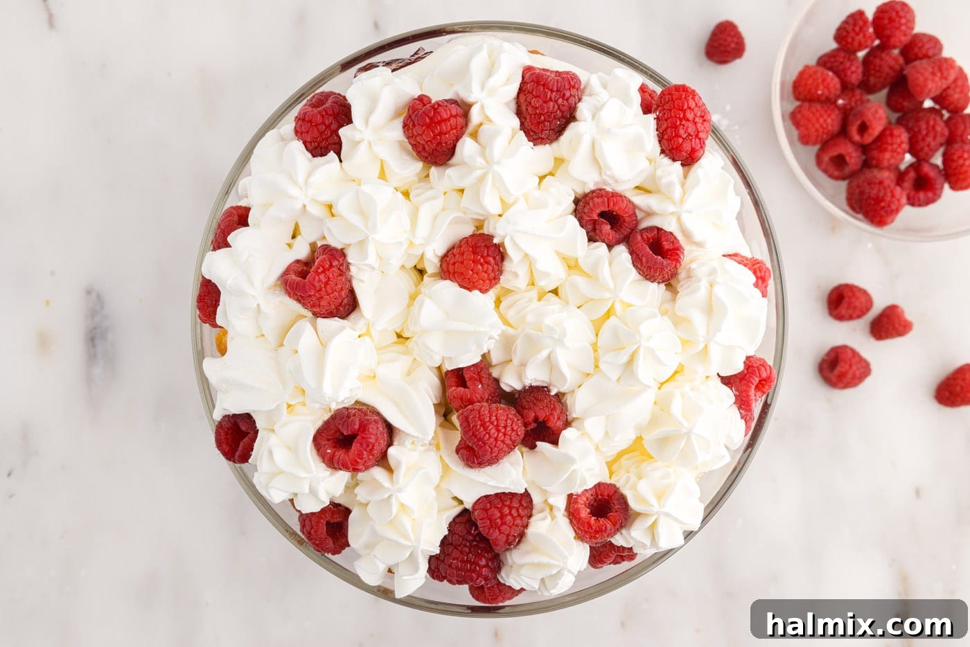 raspberries on top of raspberry trifle