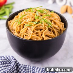 Bowl of Teriyaki Noodles