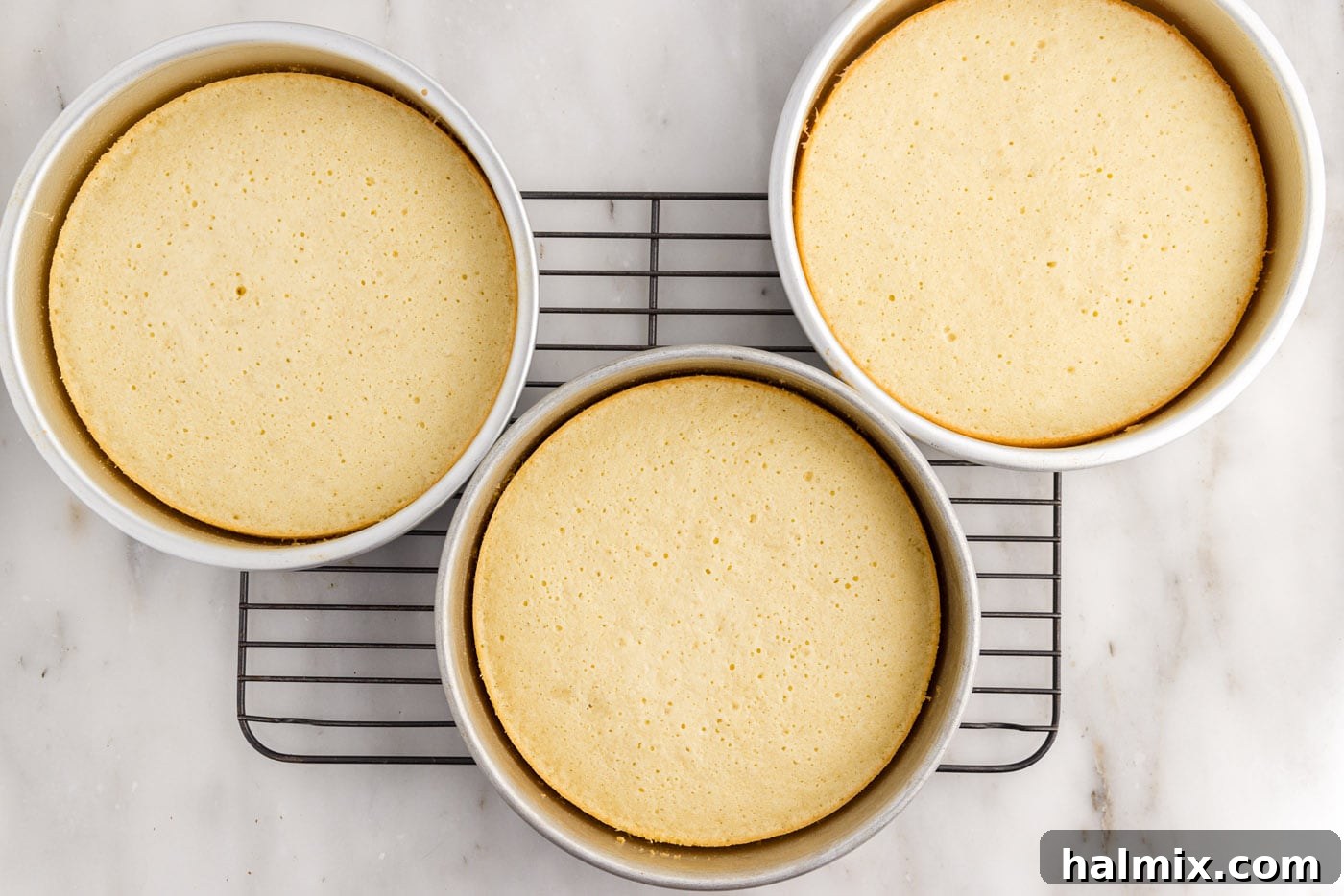 Freshly baked coconut cake layers, golden brown and perfectly risen, cooling on a wire rack after being removed from their pans.