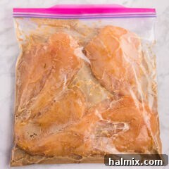Honey Garlic Chicken Marinade in a bag with chicken breasts