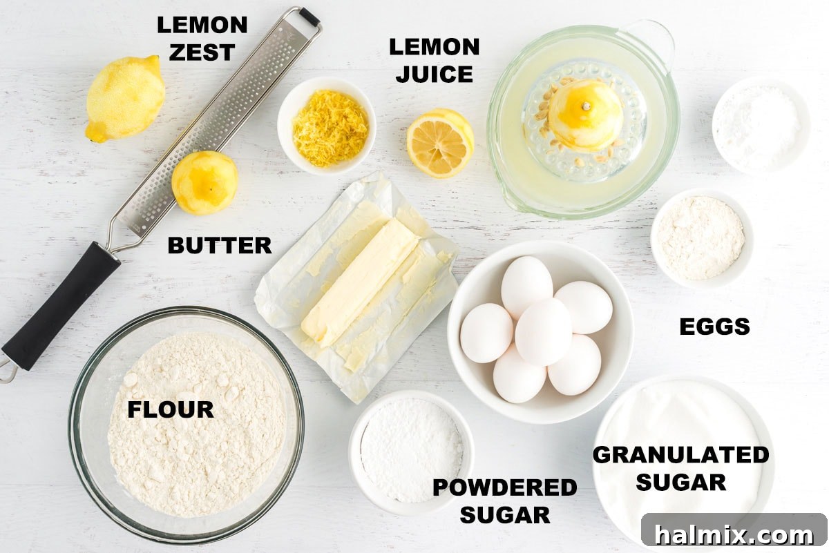 Clearly labeled individual ingredients for making lemon bars, including flour, sugar, butter, eggs, and fresh lemons, arranged neatly on a kitchen counter, ready for preparation.