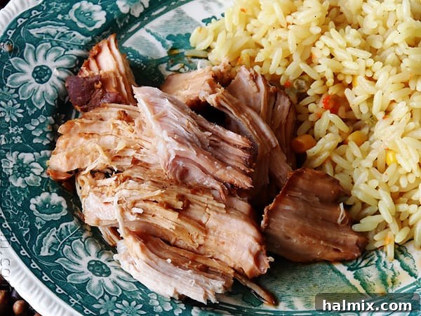 A close up photo of slow cooker oriental pork roast, shredded and served with rice.