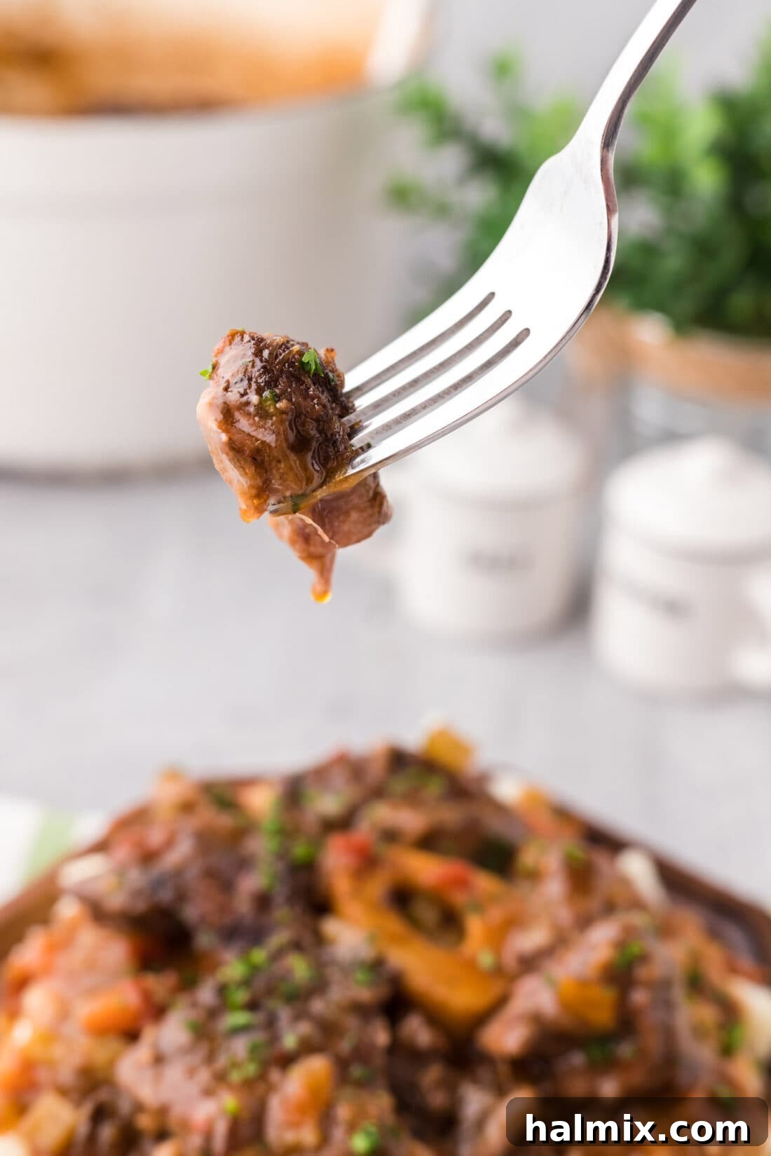 Piece of Braised Beef Shank on a fork, showing its tenderness