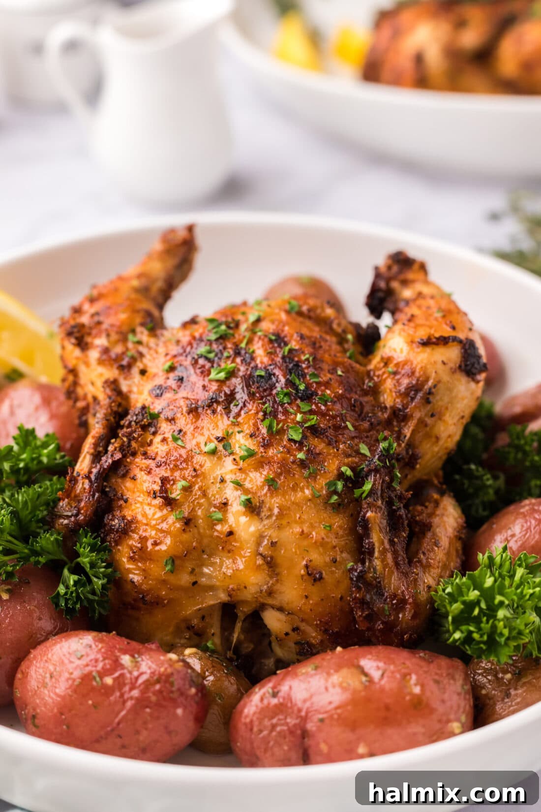 Close-up of a perfectly cooked, golden brown Air Fryer Cornish Hen, highlighting its crispy seasoned skin and tender texture.