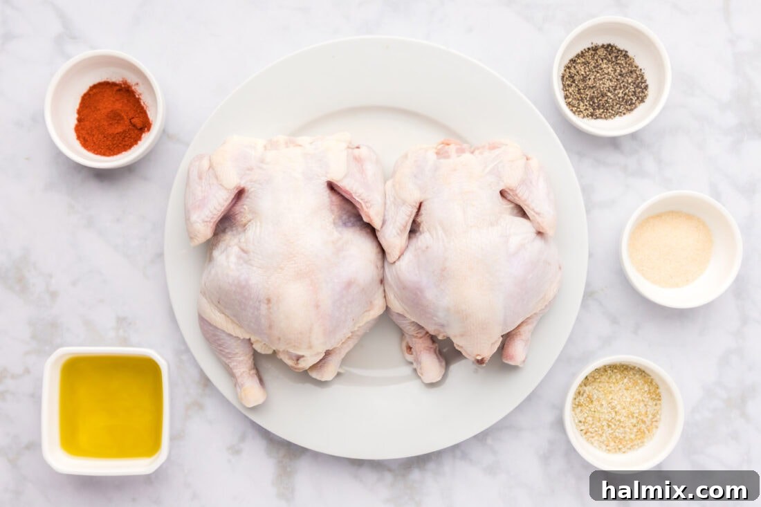 A collection of fresh ingredients for Air Fryer Cornish Hens, including raw hens, paprika, onion powder, garlic salt, olive oil, and black pepper.