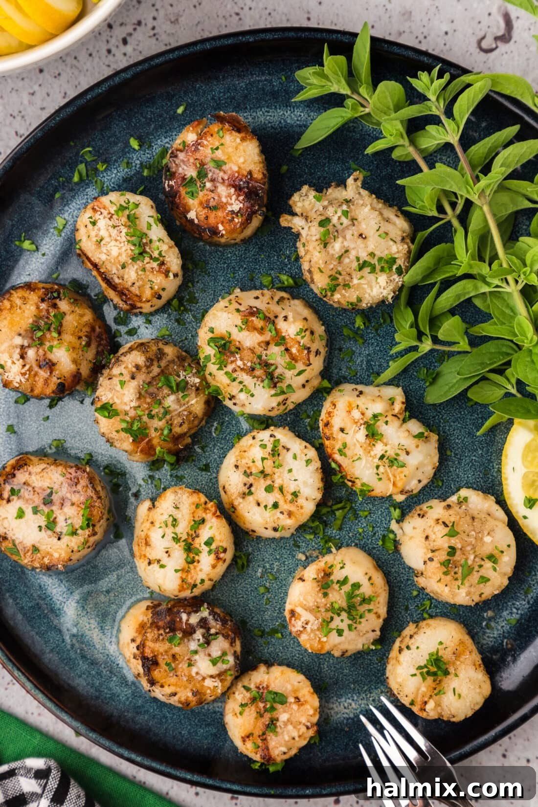Grilled Scallops served on a white plate with fresh herbs