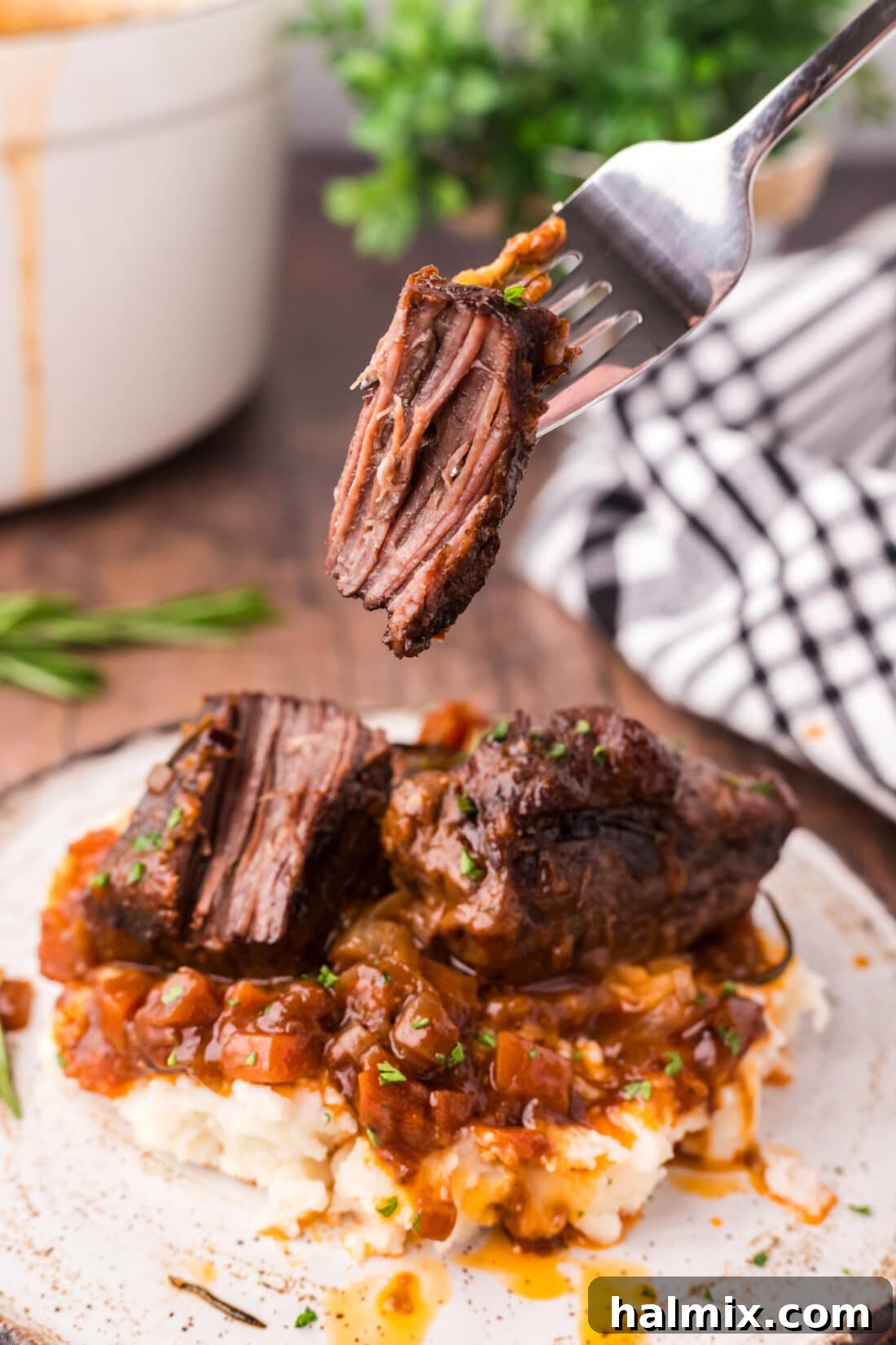 Fall-Off-The-Bone Short Ribs 17 A succulent piece of Braised Beef Short Rib on a fork, showing its tender, shreddable texture.