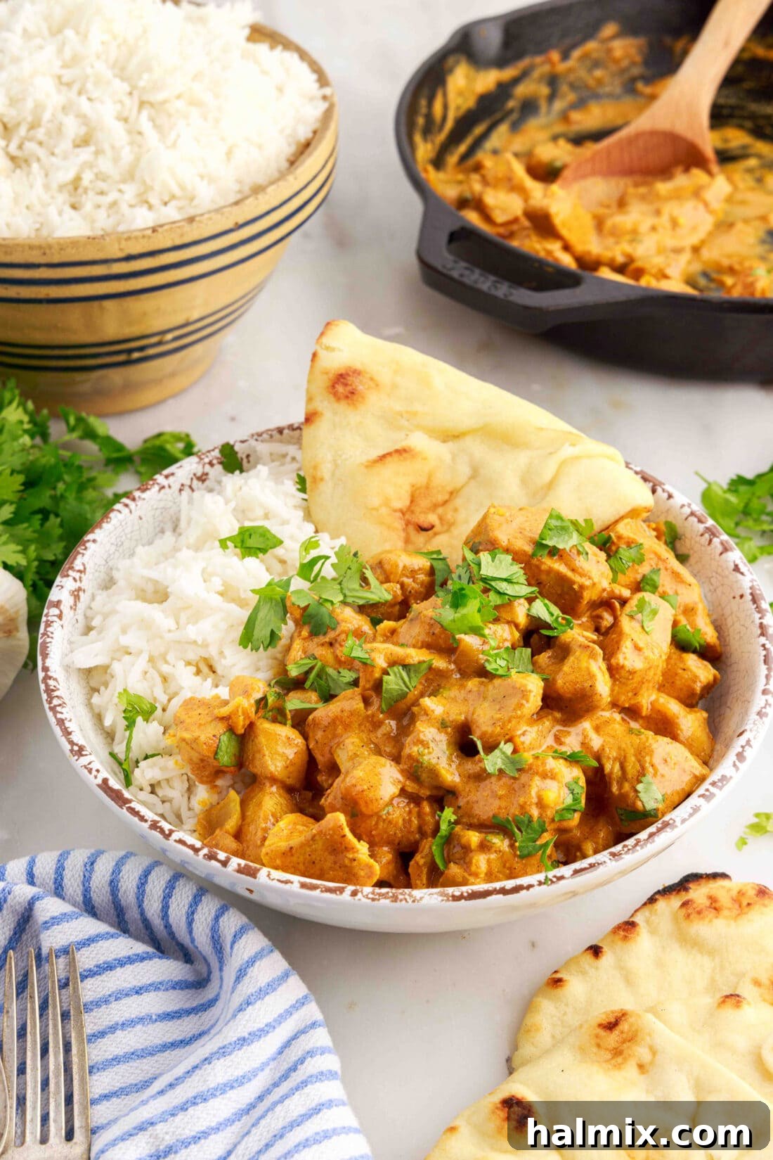 Aromatic Chicken Curry 2 Bowl of Chicken Curry with rice