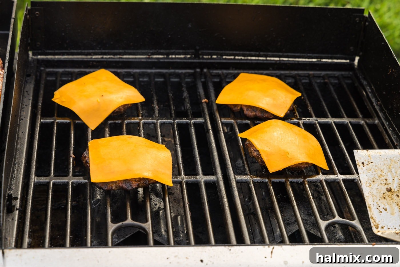 sliced cheddar cheese on top of burger patties, melting beautifully.