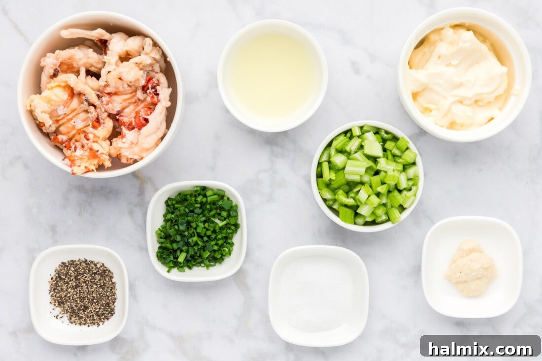 A flat lay photograph showcasing all the fresh ingredients neatly laid out for making lobster salad, including cooked lobster meat, celery, chives, mayonnaise, lemon, horseradish, salt, and pepper.