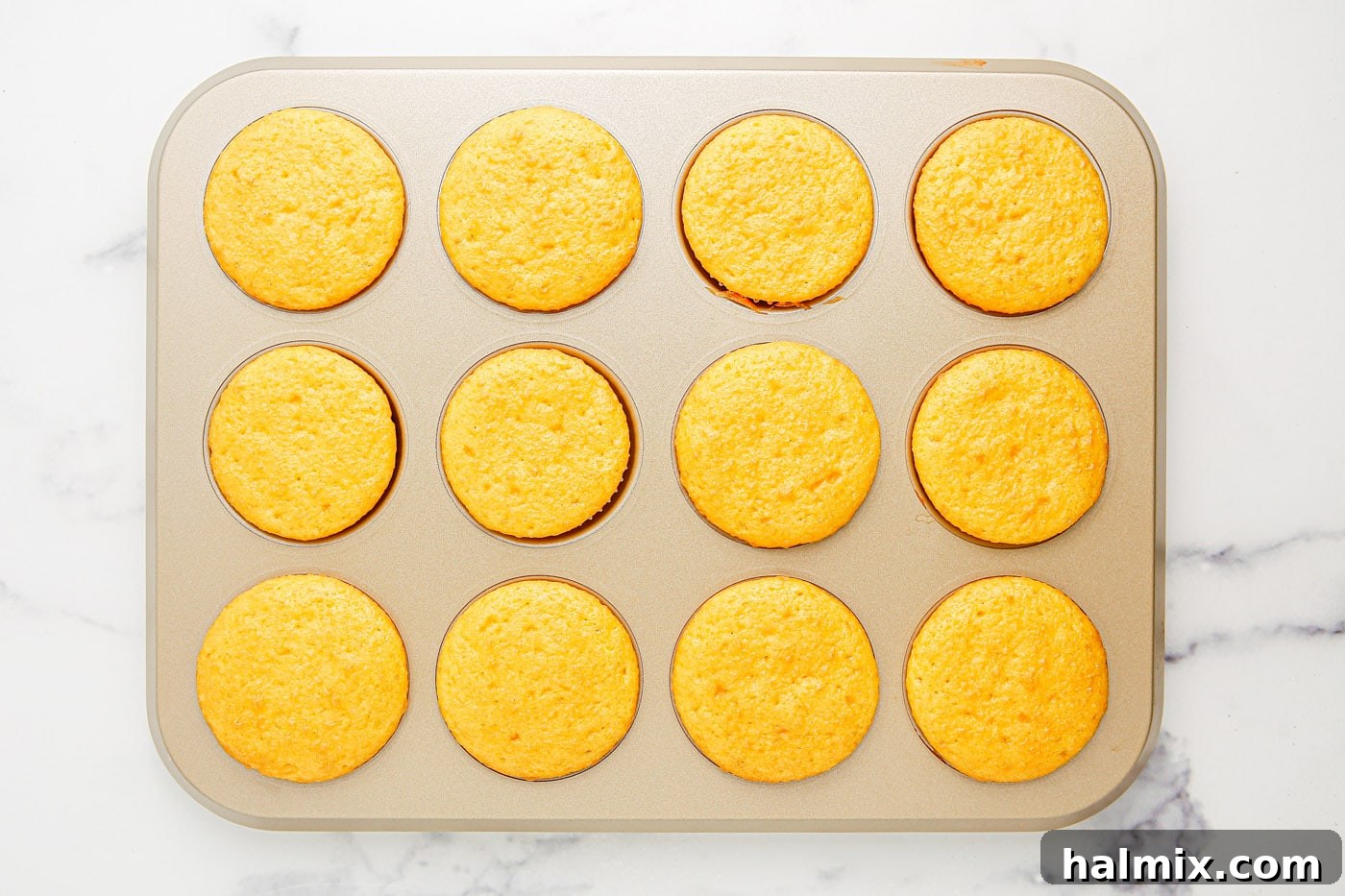 Baked vanilla cupcakes close up