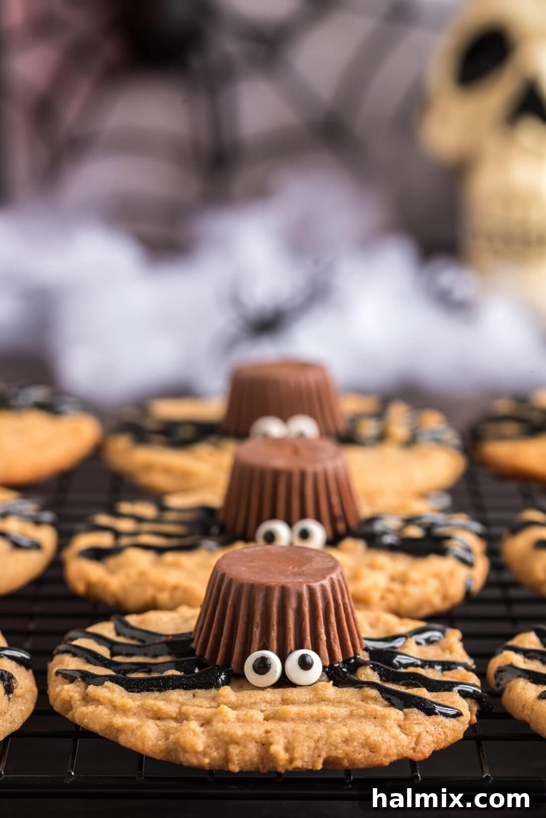 A perfectly aligned row of decorated spider cookies, showcasing their charming and slightly eerie Halloween aesthetic.