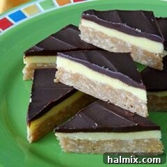 A close-up image of the completed No-Bake Peanut Butter Pudding Bars, ready for serving.