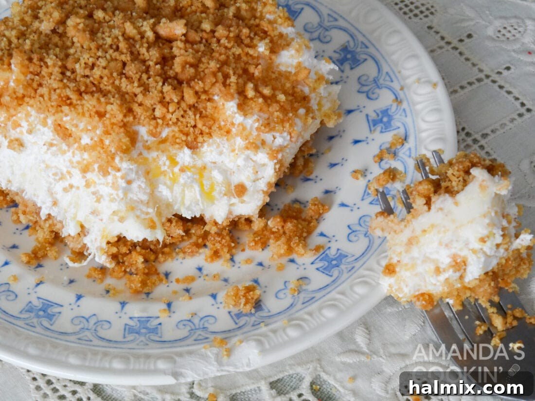 Tropical Pineapple Bliss 2 Original photograph of Pineapple Dream Dessert from 2013, showing its nostalgic appeal.