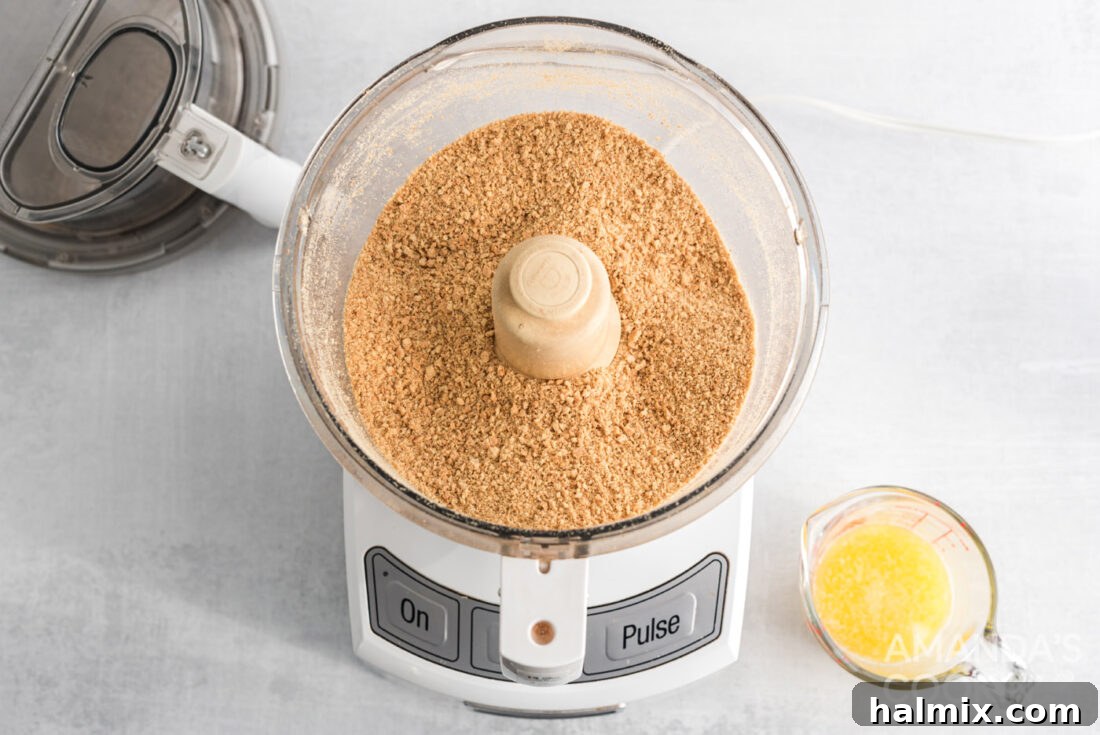 Tropical Pineapple Bliss 3 Finely crushed graham cracker crumbs ready in a food processor, perfect for the dessert crust.