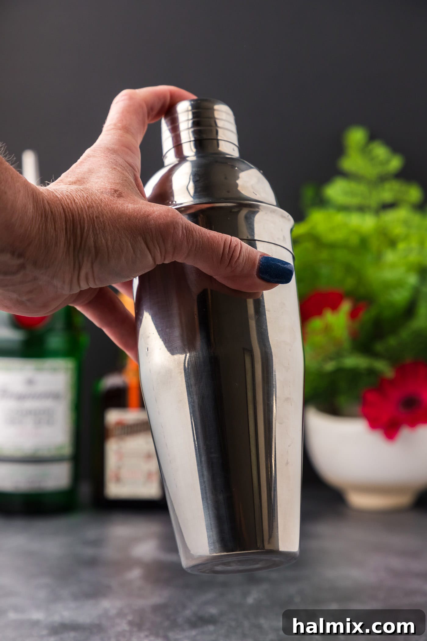 The Pale Belle 6 shaking cocktail shaker