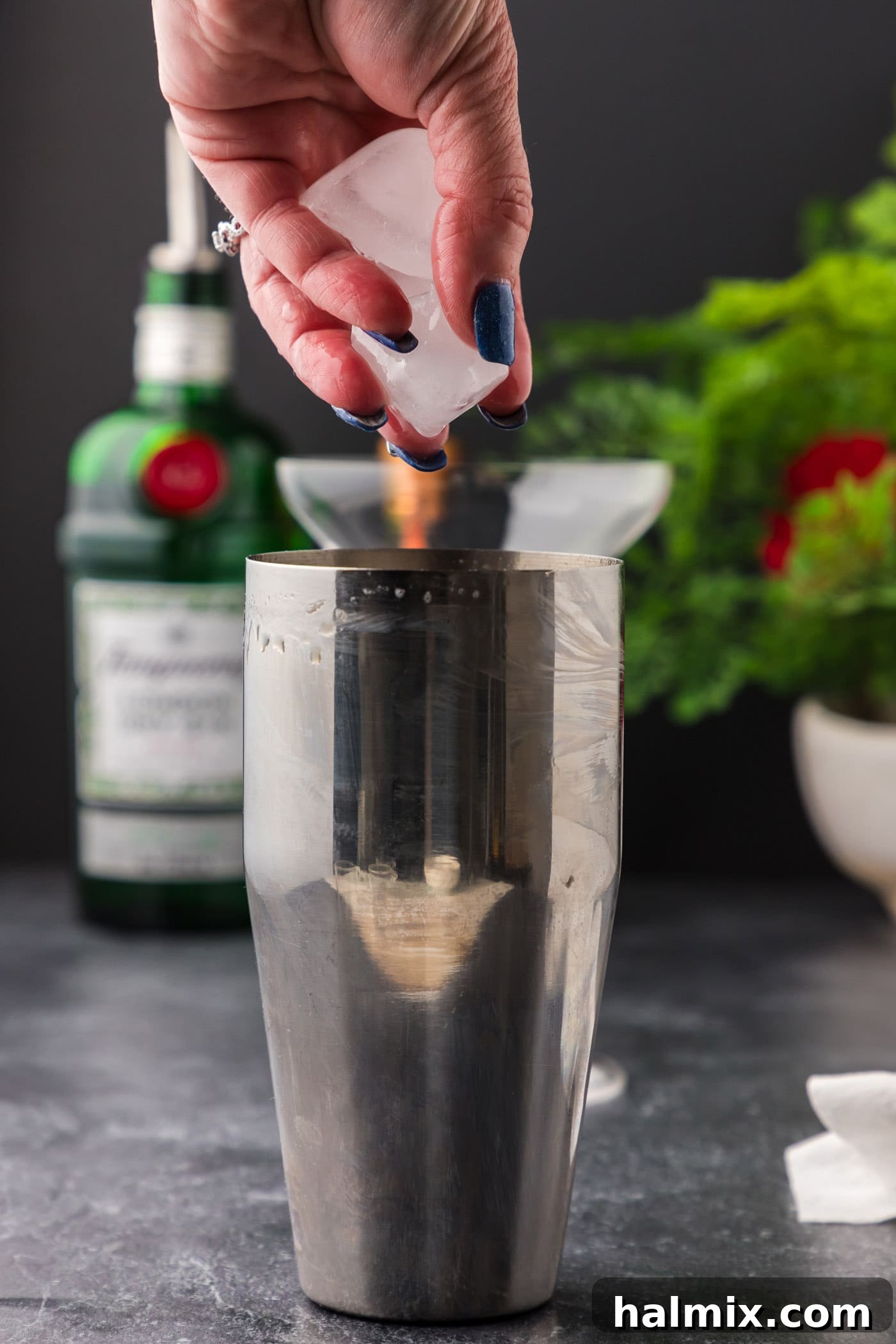 The Pale Belle 7 adding ice to cocktail shaker