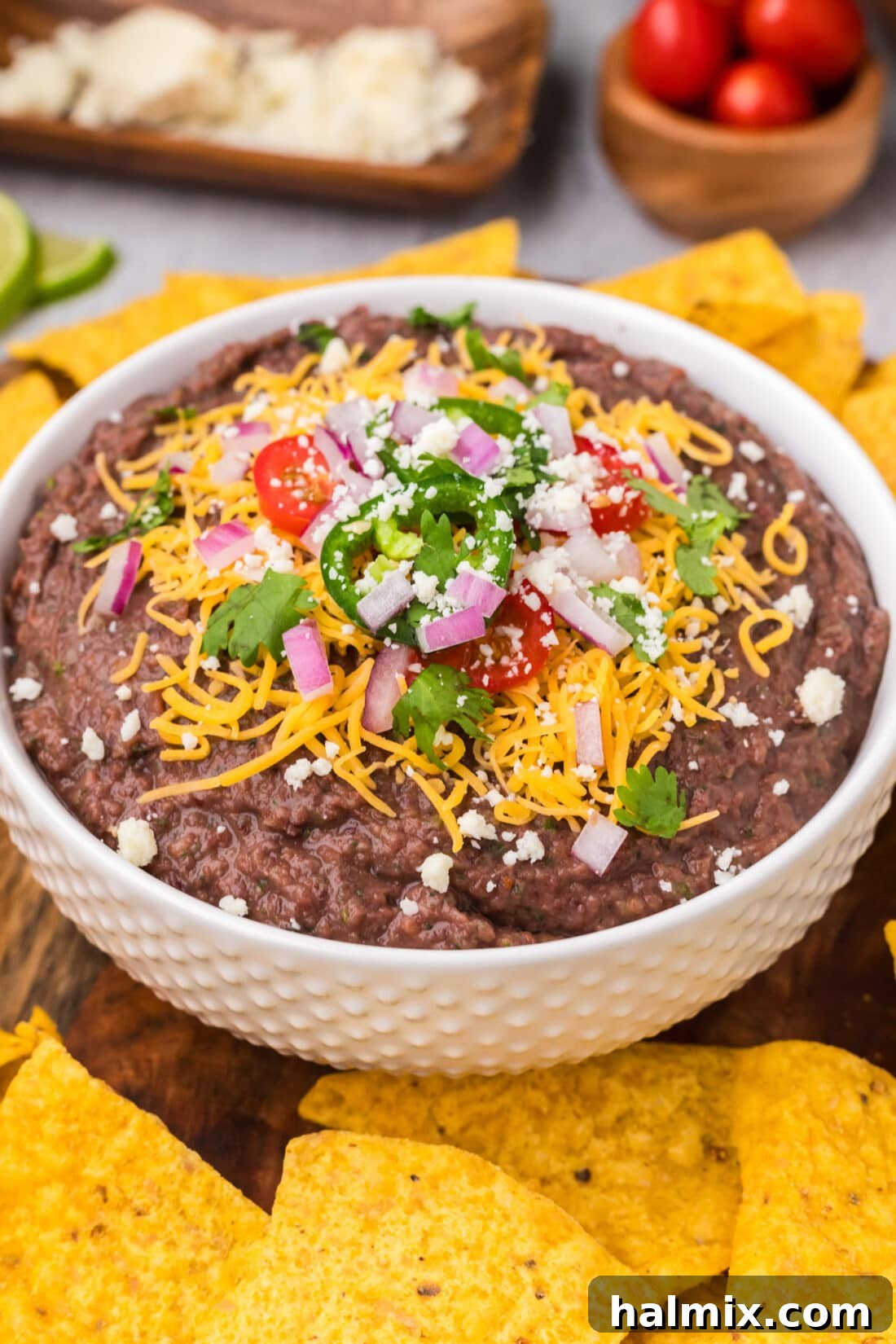 Close up photo of a bowl of Black Bean Dip surrounded by tortilla chips
