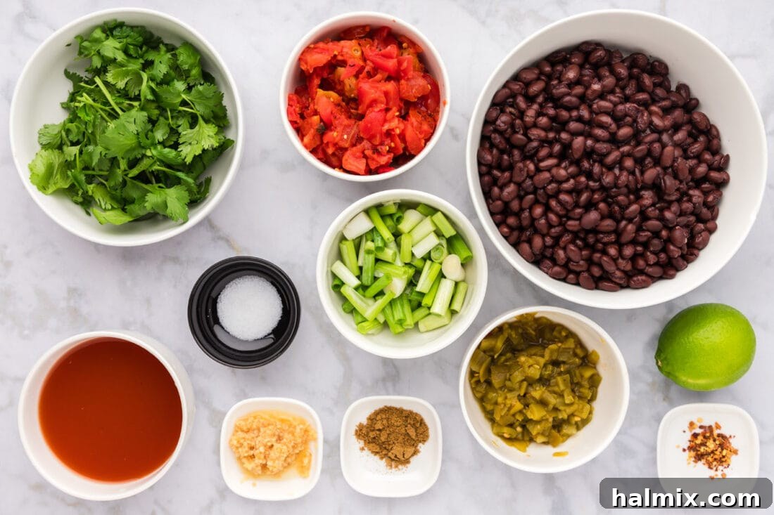 Ingredients for Black Bean Dip laid out on a surface