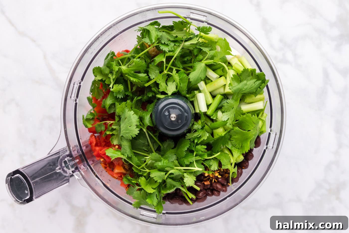 Adding fresh cilantro to the dip in a food processor