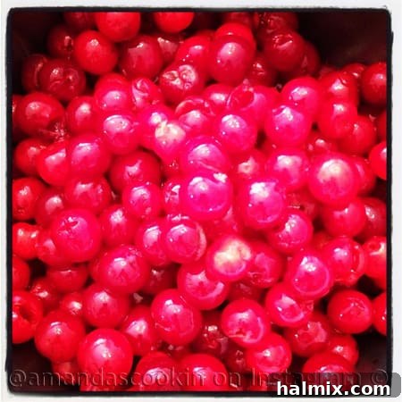 A close up photo of maraschino cherries.