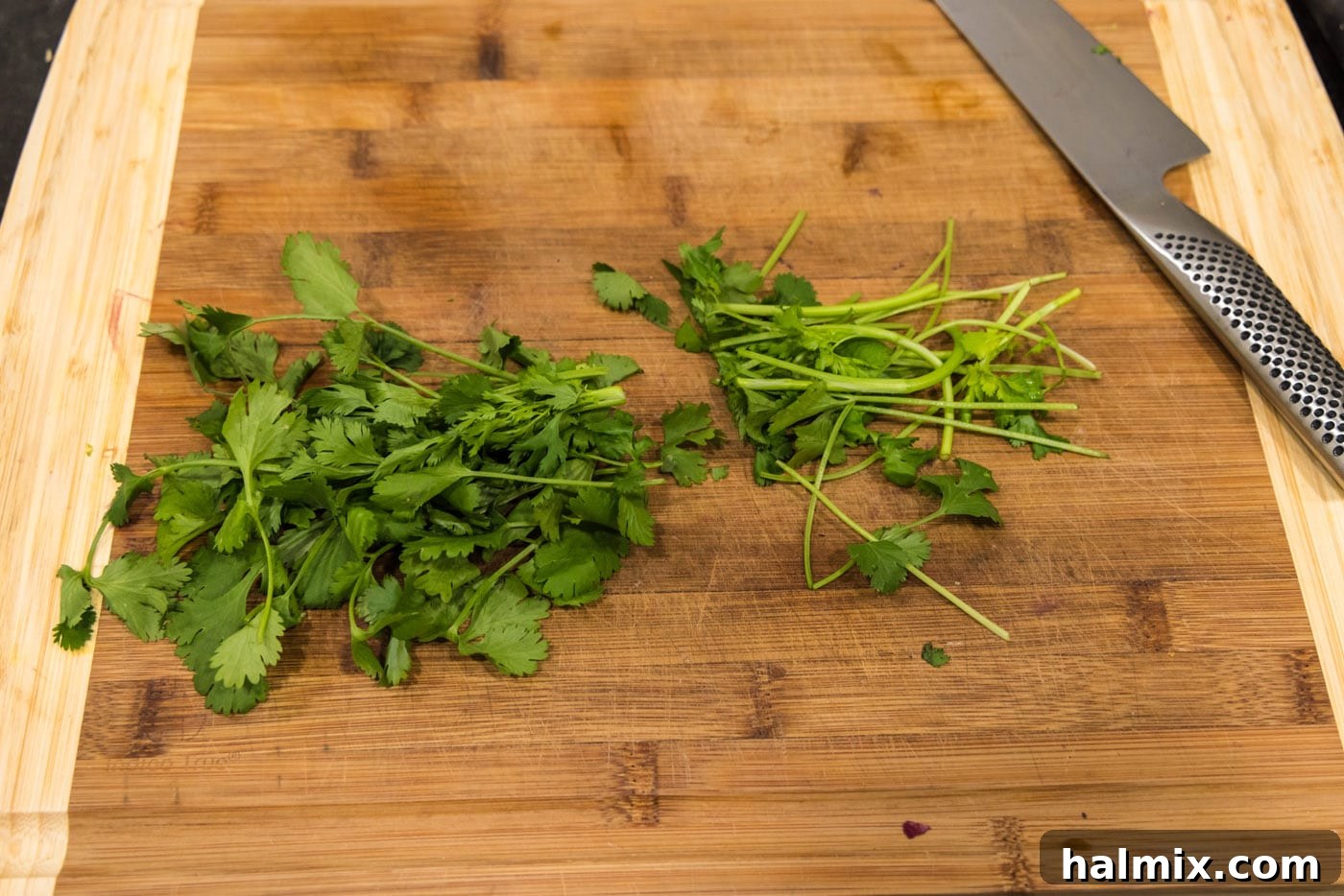 A bunch of fresh cilantro, with stems cut, resting on a wooden cutting board