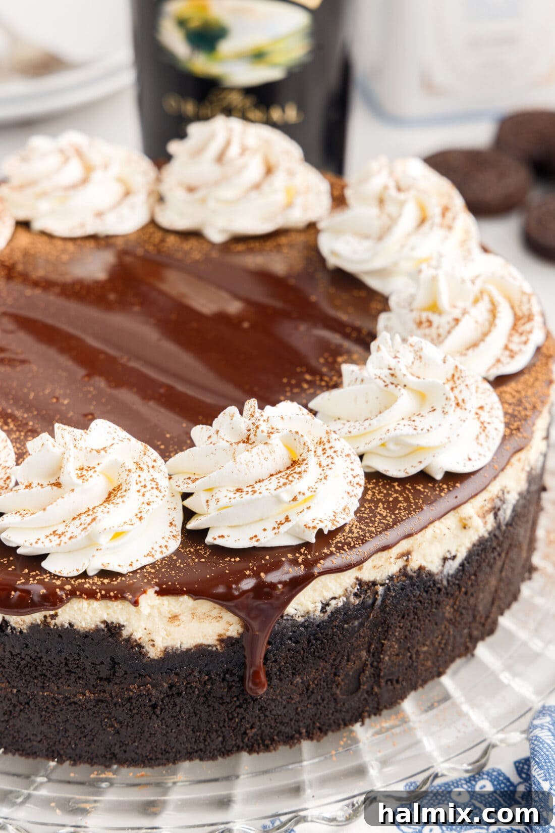 Close up photo of a Baileys Cheesecake with perfect layers