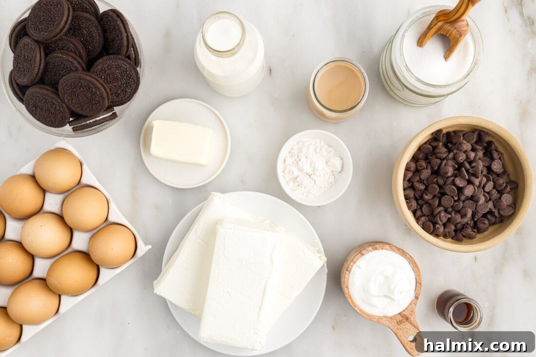 Ingredients for Baileys Cheesecake laid out on a kitchen counter