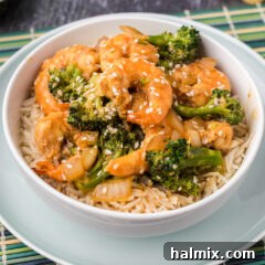 Bowl of Shrimp and Broccoli over rice