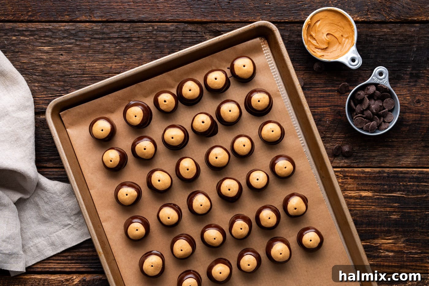 chocolate dipped buckeye candies on a baking sheet, ready to set
