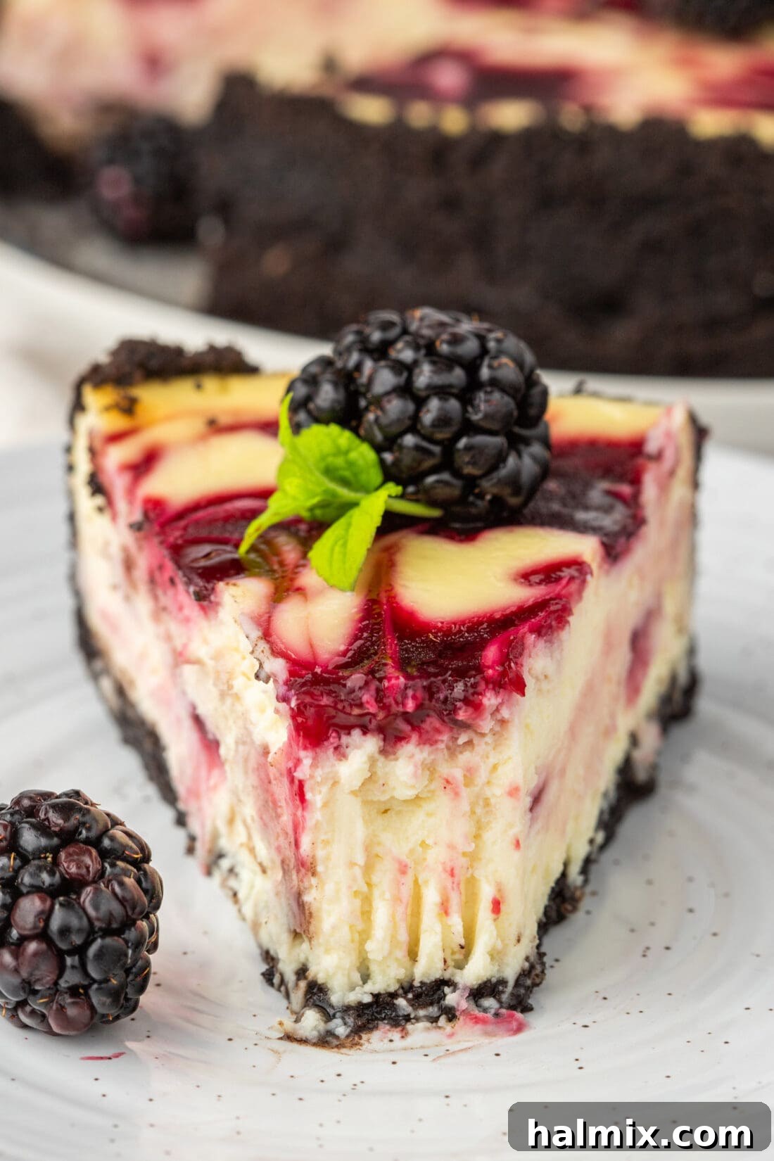 Blackberry Ripple Cheesecake 3 A close-up slice of Blackberry Swirl Cheesecake on a plate with a bite taken out, highlighting the creamy texture and berry swirl.