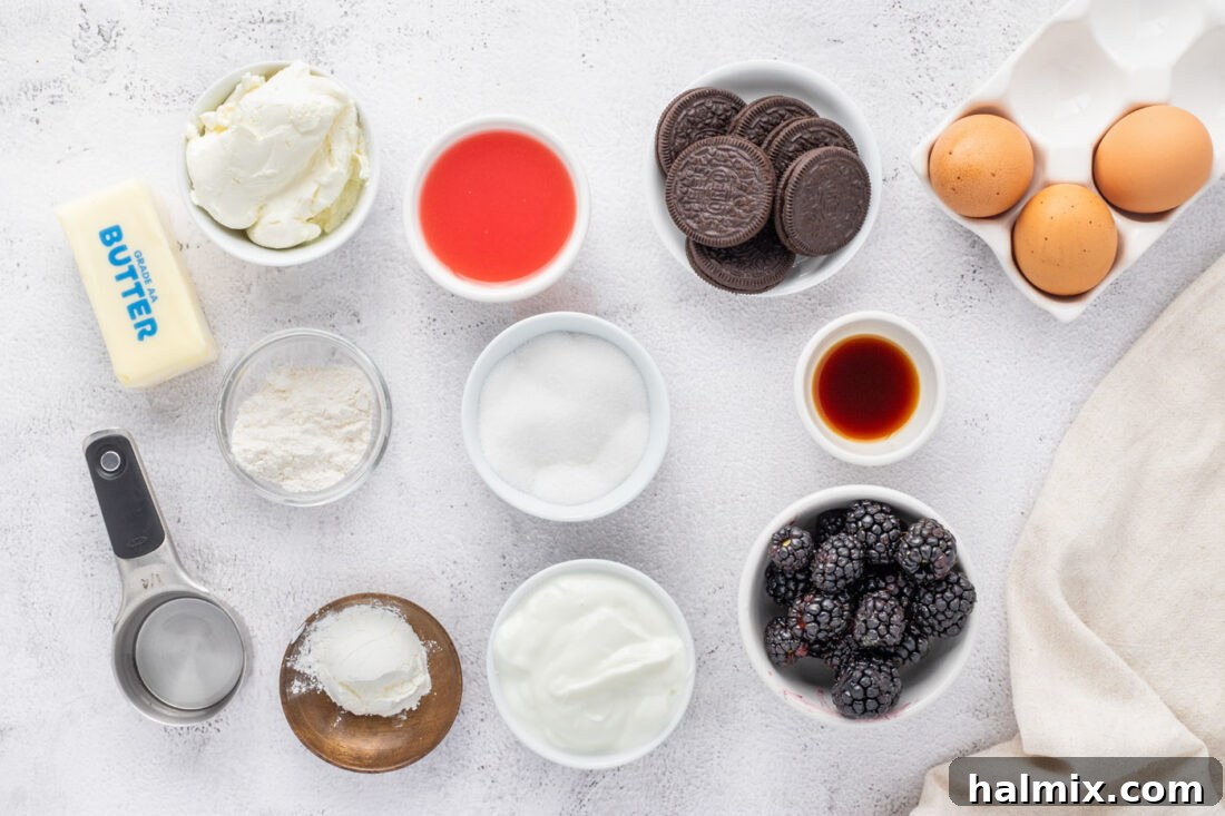 Blackberry Ripple Cheesecake 4 A flat lay photo showing all the ingredients for Blackberry Swirl Cheesecake laid out on a surface.