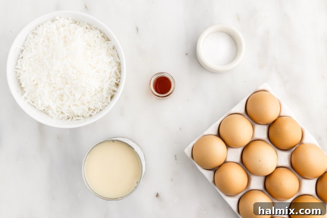 All the necessary ingredients for making coconut macaroons laid out on a clean surface: separated egg whites, a measuring spoon for salt, a bag of sweetened shredded coconut, a bottle of vanilla extract, and a can of sweetened condensed milk.