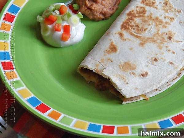 A close-up shot of a golden-brown beef and bean quesadilla, perfectly cooked and served on a green plate with sour cream and refried beans.