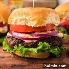 Close up photo of a Buffalo Burger