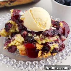 Blueberry Dump Cake on a plate topped with a scoop of ice cream, visually enticing