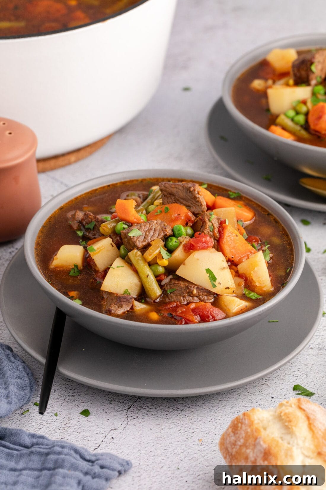Beautifully presented bowl of Vegetable Beef Soup, ready to be enjoyed.