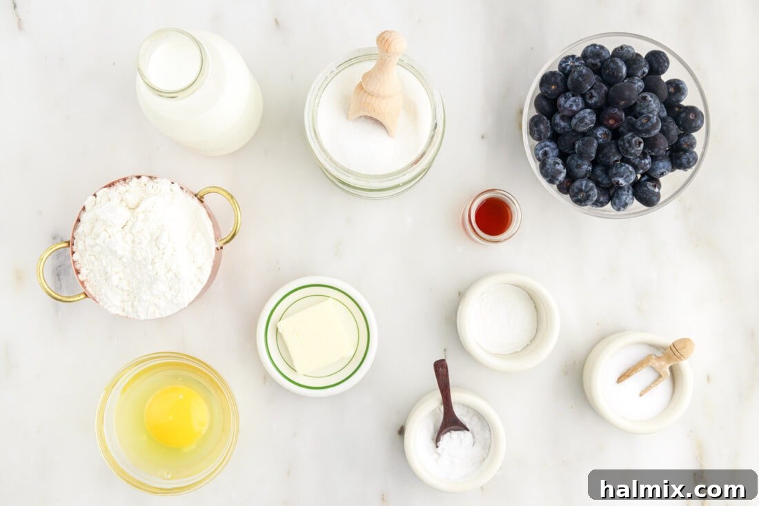 All ingredients laid out for making delicious blueberry pancakes