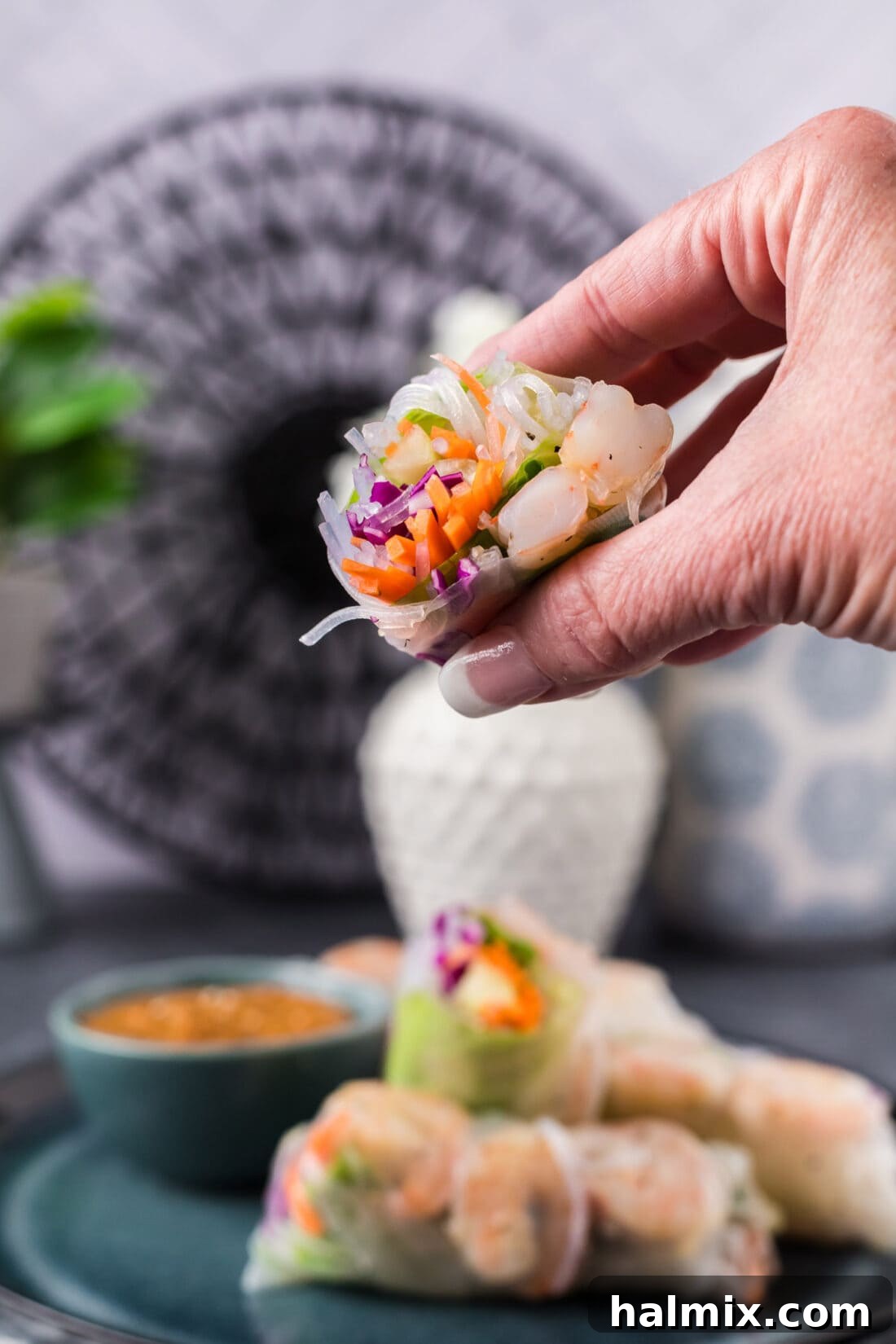 A hand holding half a Shrimp Spring Roll, showing the cross-section of the vibrant fresh ingredients inside, including shrimp, noodles, and vegetables.