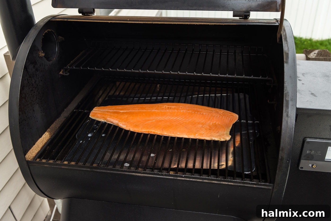 trout filet on smoker grill grates