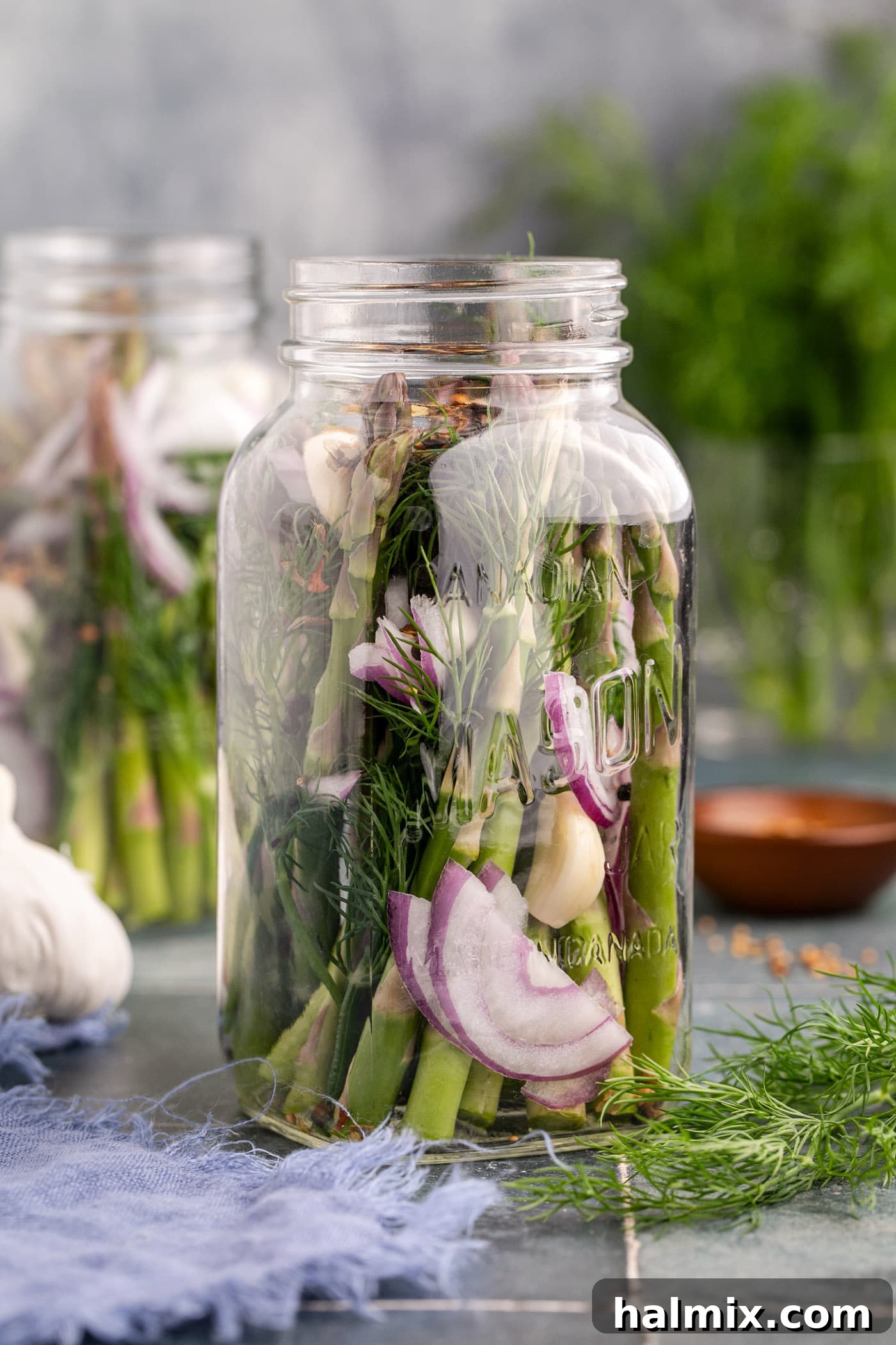asparagus spears in jar with garlic, red onion, and fresh dill