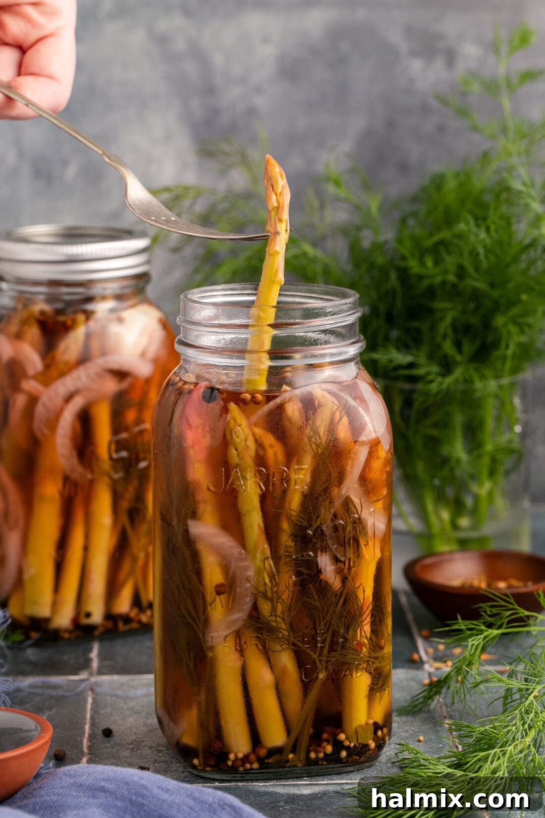 Piece of Pickled Asparagus being lifted out of the jar by a fork