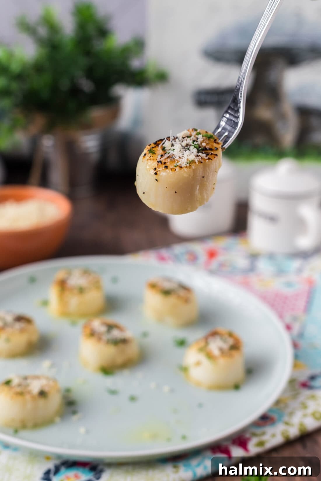 Golden Broiled Scallops 3 A single broiled scallop held on a fork above a plate of more perfectly cooked scallops.