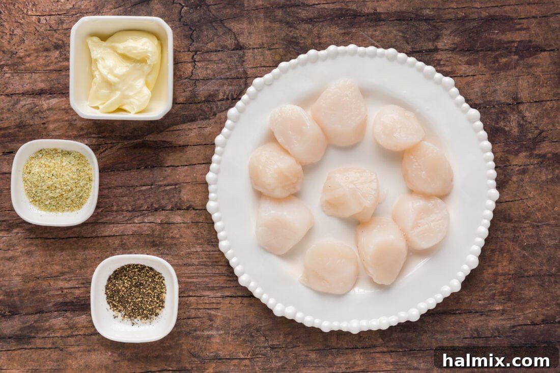 Golden Broiled Scallops 4 A flat lay photo showing all the ingredients for broiled scallops, including fresh scallops, butter, garlic salt, and black pepper.