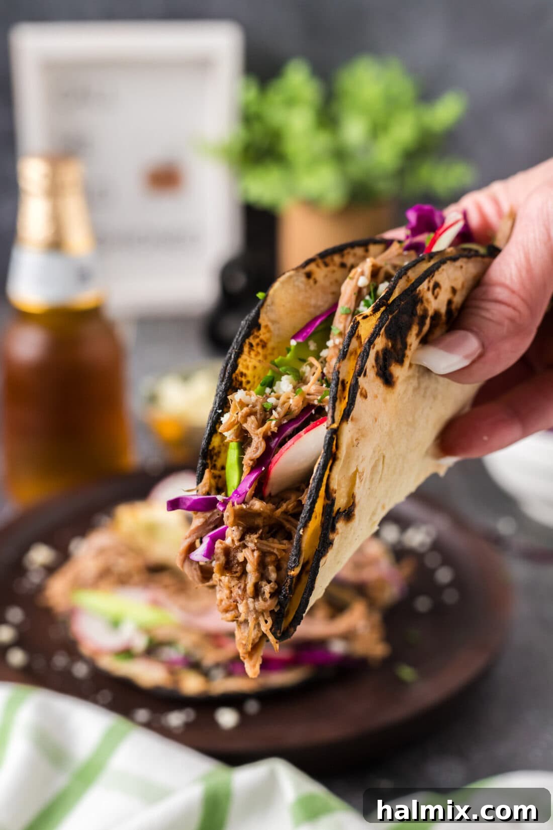 Mouthwatering Pulled Pork Tacos 3 Hand holding up a Pulled Pork Taco