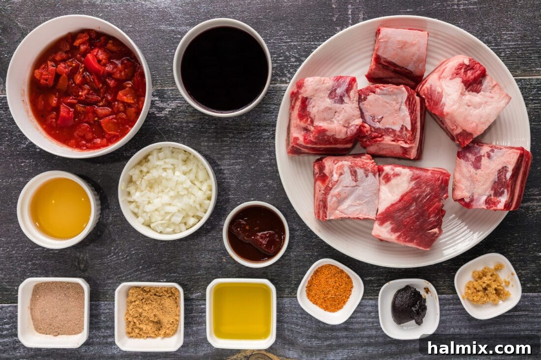 A vibrant flat lay photo displaying all the fresh ingredients required for making Mexican Short Ribs, including beef, tomatoes, seasonings, and herbs.